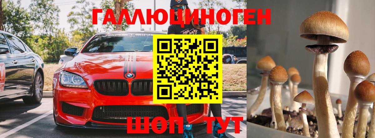 Берёзовский  Галлюциногенные грибы мухоморы  Псилоцибиновые грибы Psilocybe  Вход с VPN 
